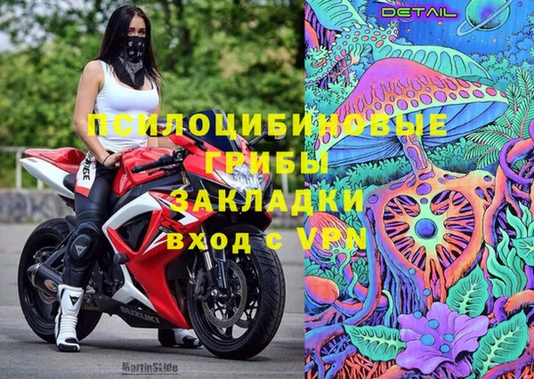 спиды Новодвинск