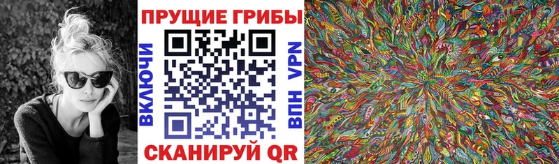 магазин    Плавск  Галлюциногенные грибы Psilocybe 